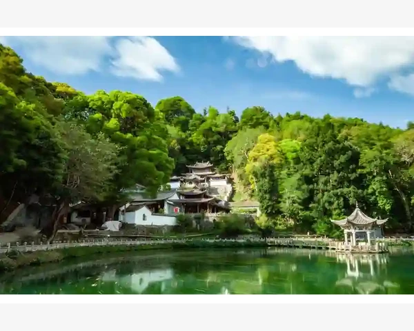 儿童养脾胃晚餐搭配指南