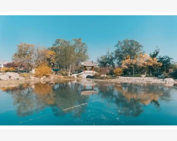 儿童养脾胃拌面食谱与健康指南