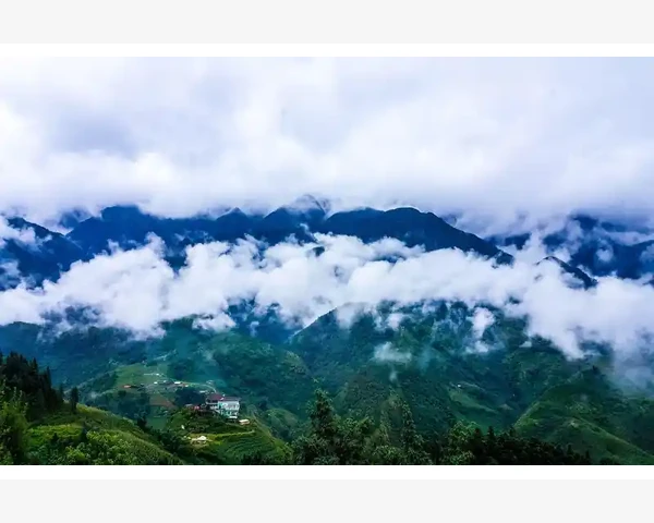 清肺化痰糖浆——中医经典配方治疗咳嗽的良药