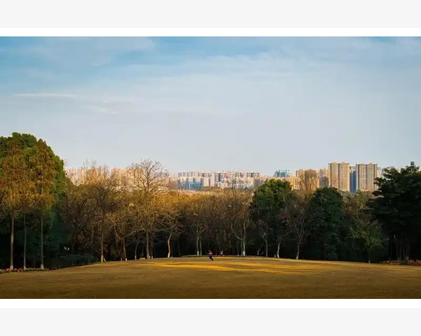 B2B歌星跨界商业合作新模式